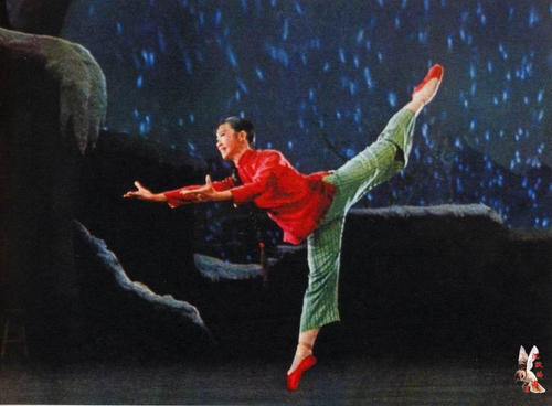 巴哈马身份证怎么买假的